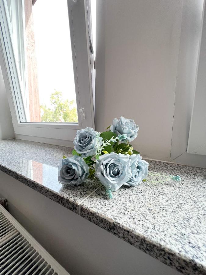 717 Zentrum Ost Apartment